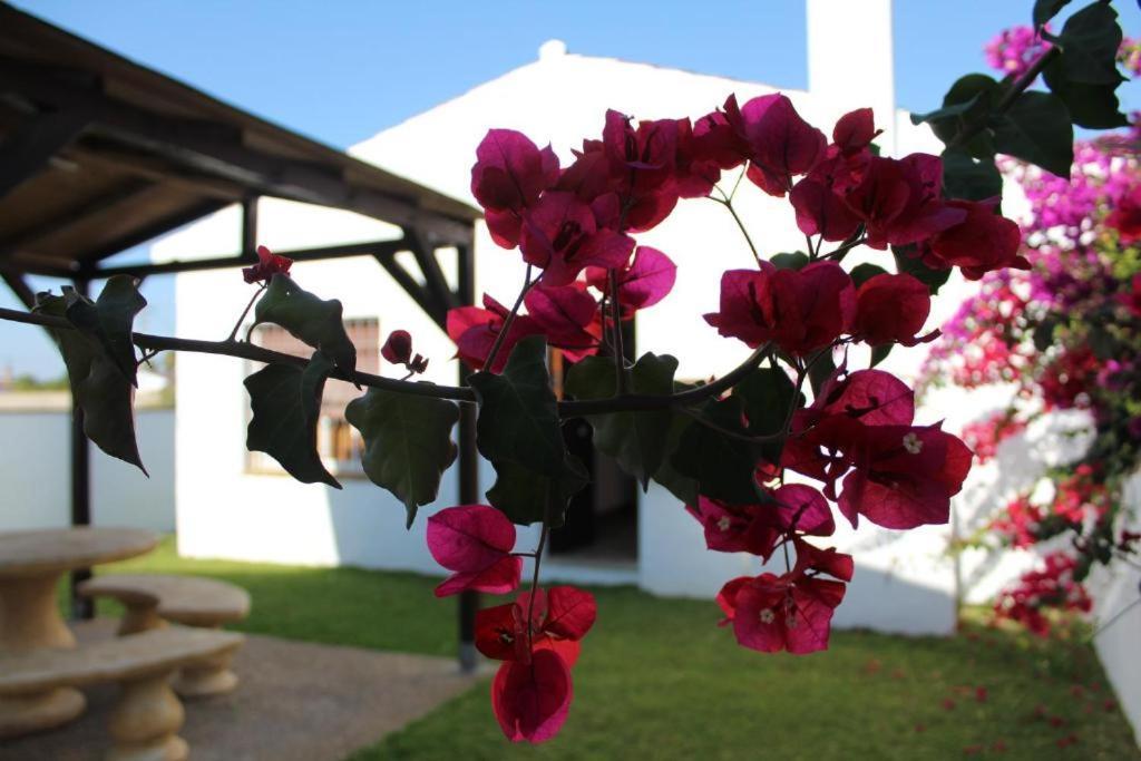 Hacienda Los Majadales Guest House Conil De La Frontera Bagian luar foto