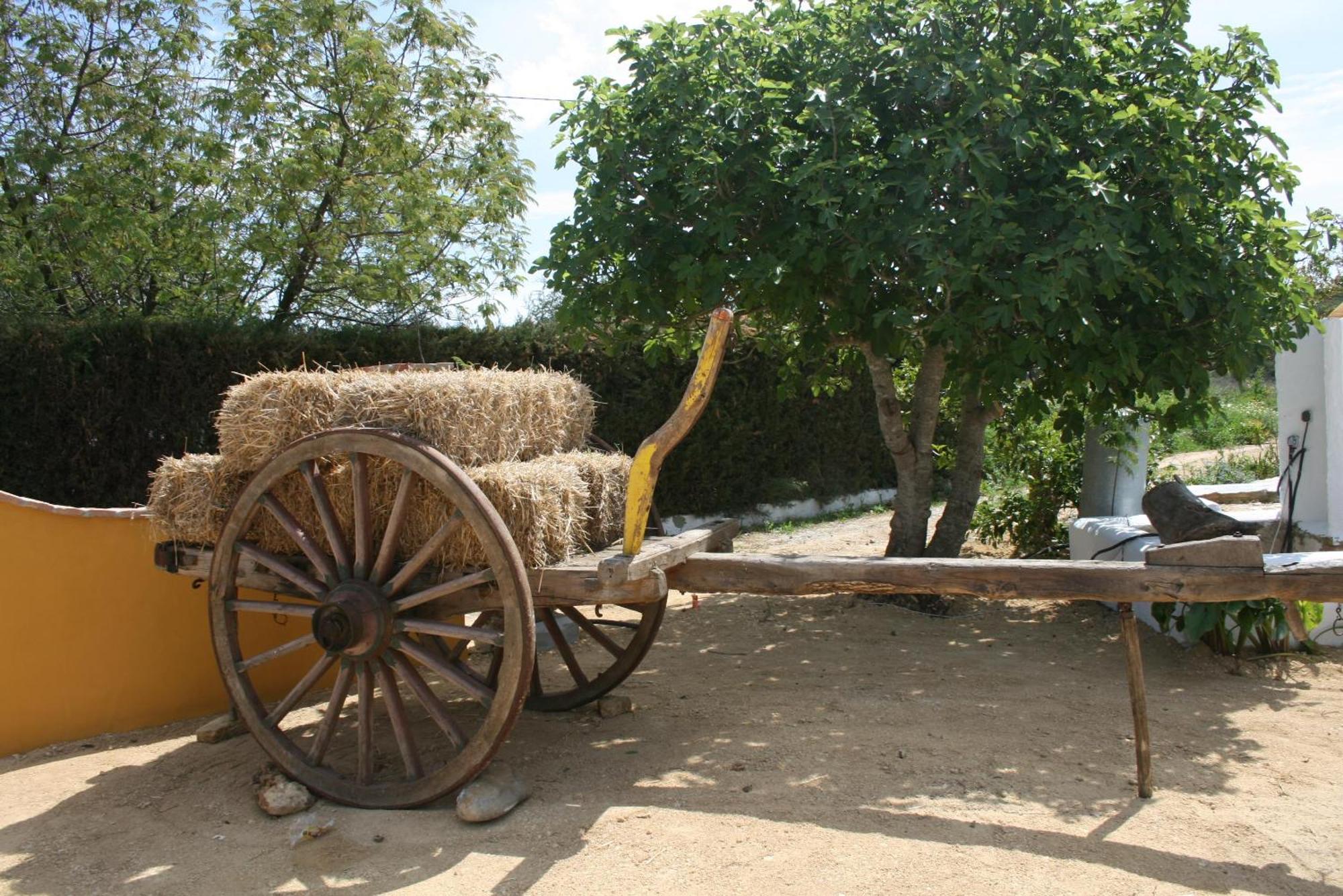 Hacienda Los Majadales Guest House Conil De La Frontera Bagian luar foto