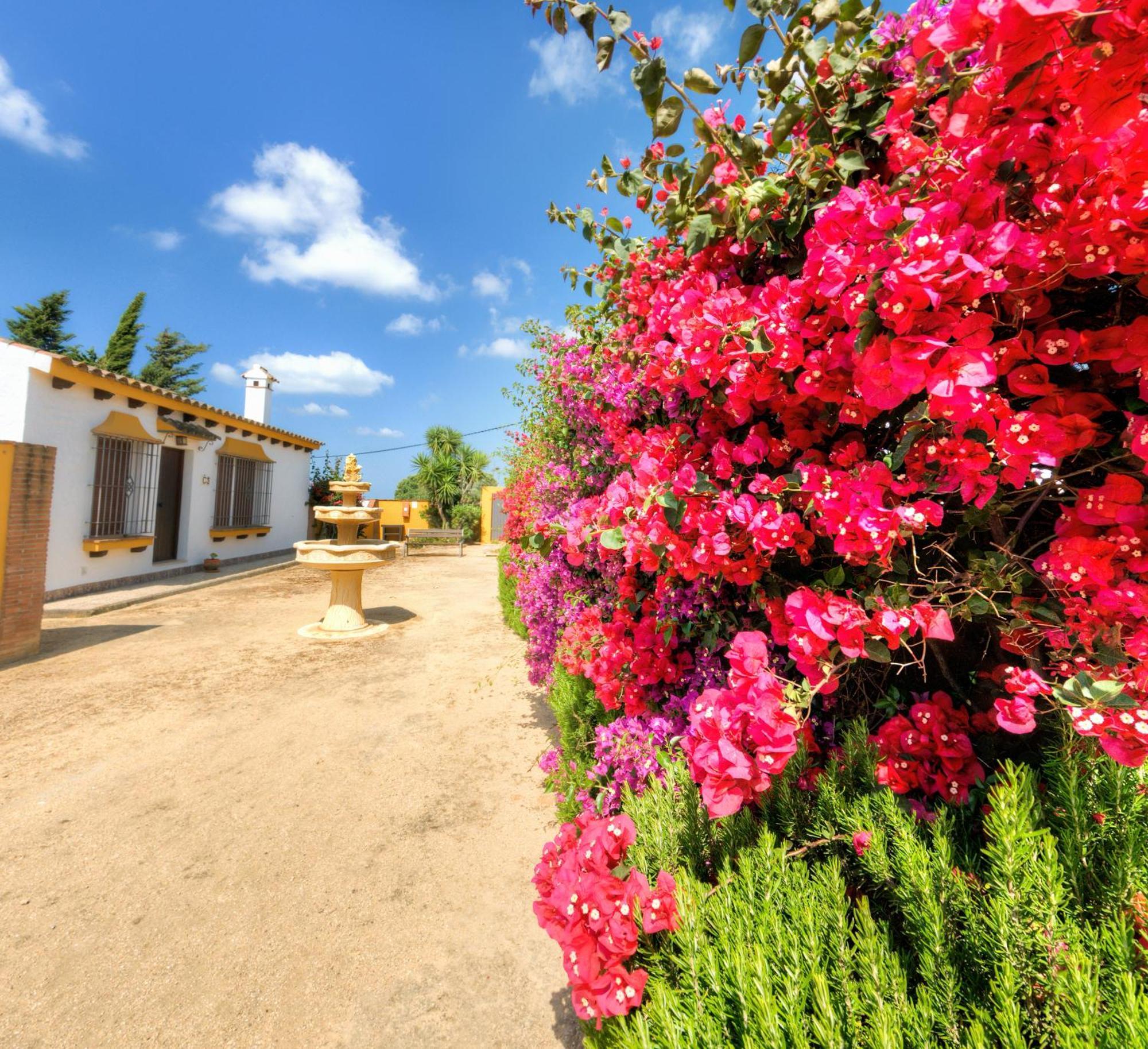 Hacienda Los Majadales Guest House Conil De La Frontera Bagian luar foto